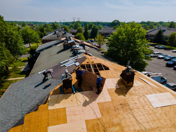 Best Roof Leak Repair  in New Johnsonville, TN