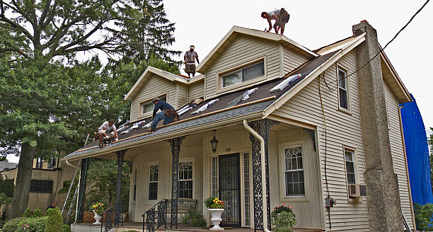 Best New Roof Installation  in New Johnsonville, TN
